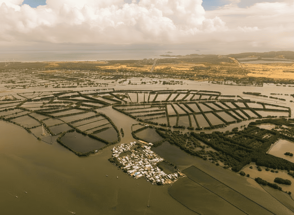 Toàn cảnh Đầm Thị Nại từ trên cao (Nguồn: Internet).